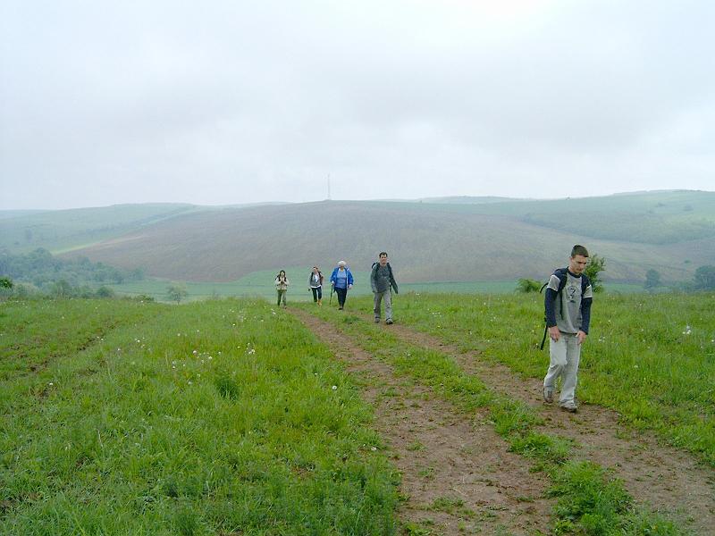 2010.05.08 (010).jpg